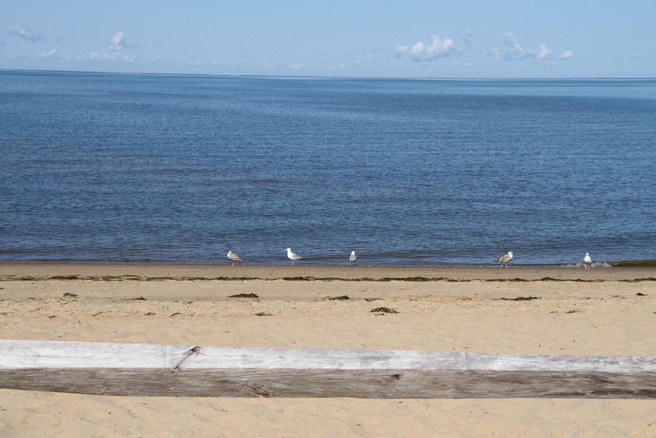 495 Aspinet Road Eastham MA 02642