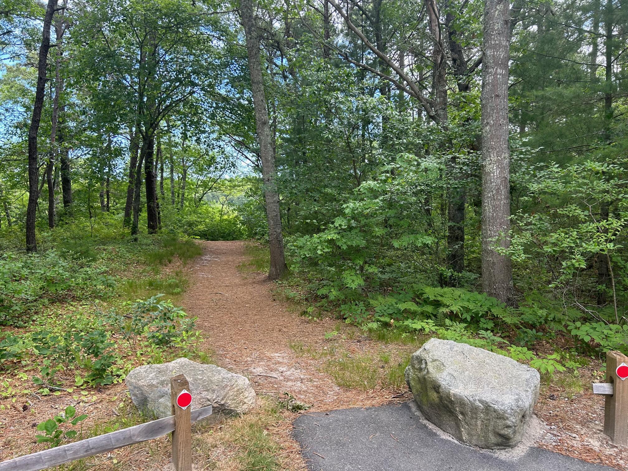 9 North Way Mashpee MA 02649