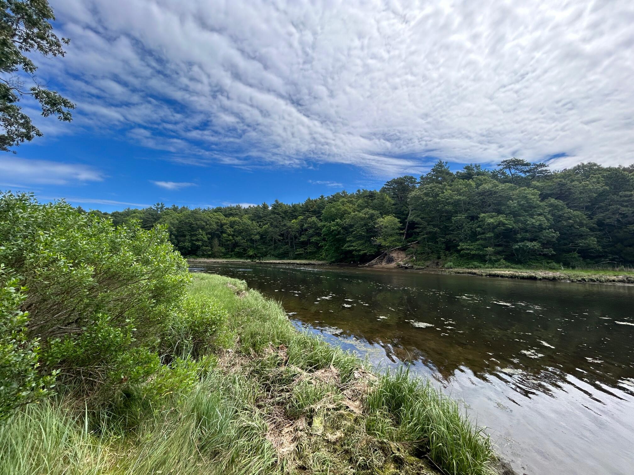 9 North Way Mashpee MA 02649