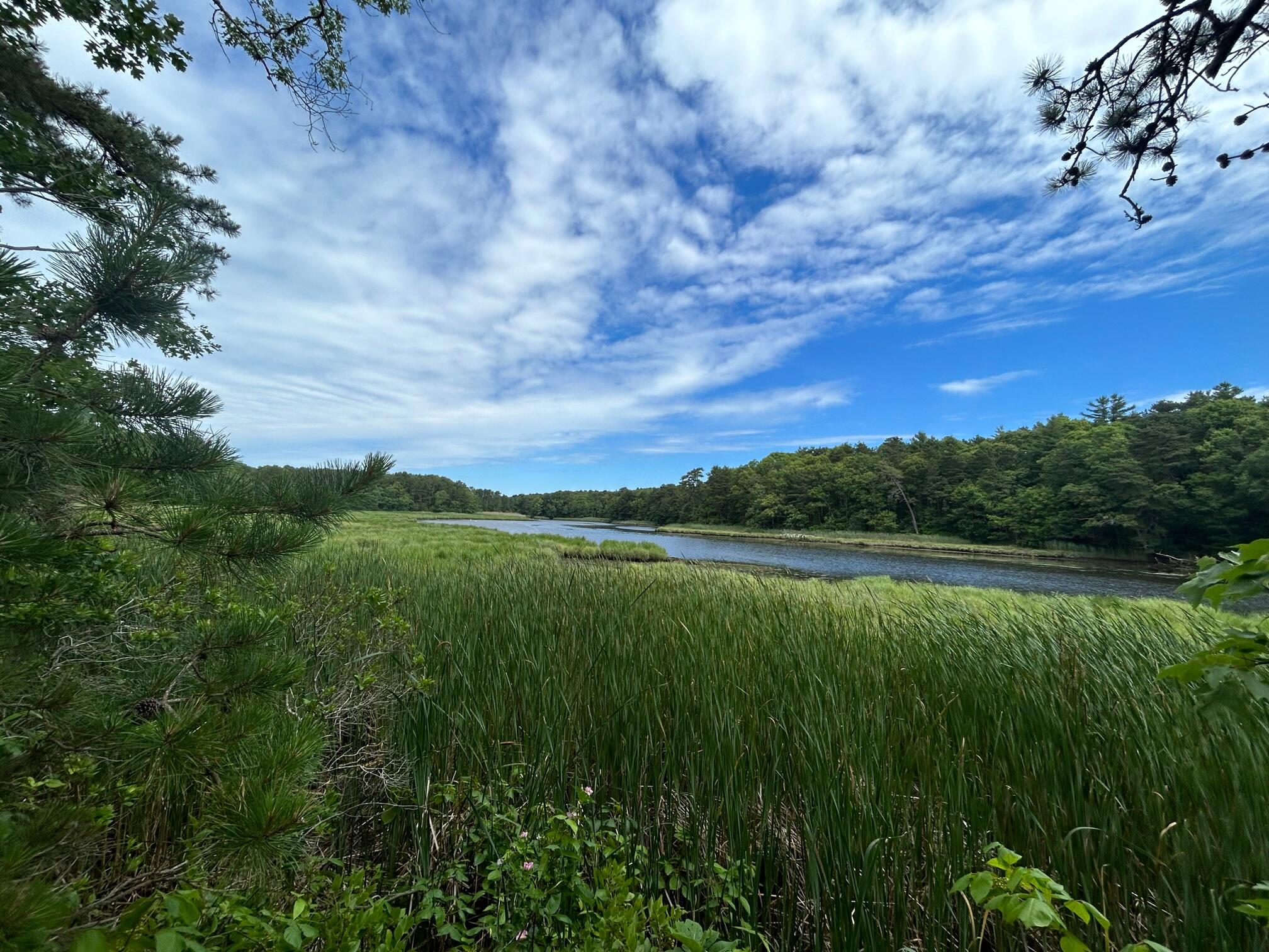 9 North Way Mashpee MA 02649