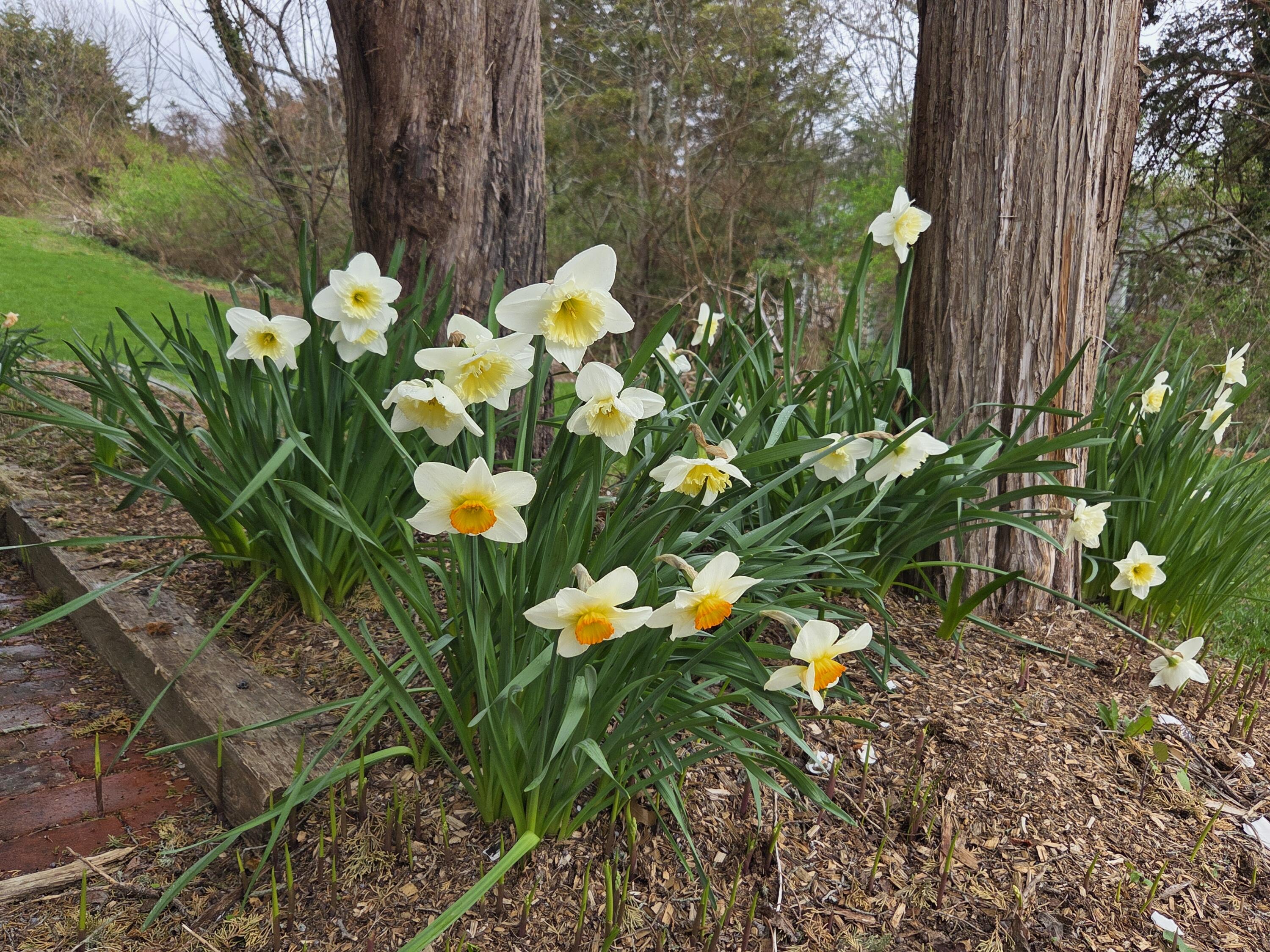 250 Mary Chase Road Eastham MA 02642