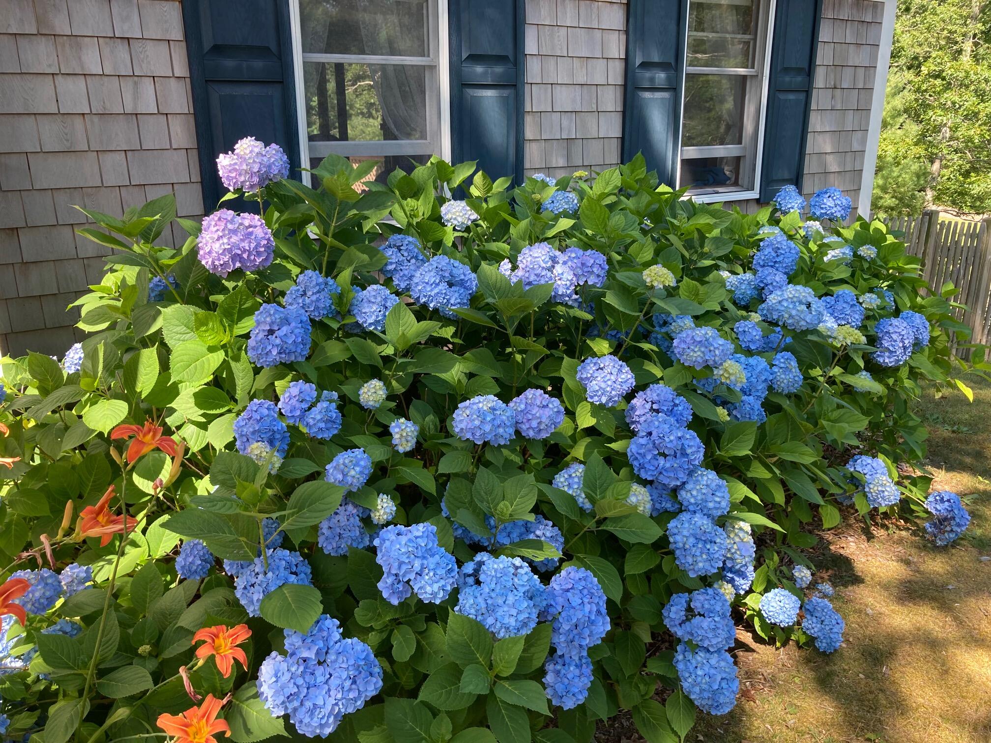 38 Shorewood Drive Orleans MA 02653