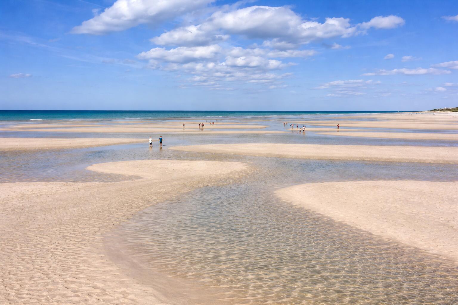 69 Horsefoot Path, Dennis MA photo 5