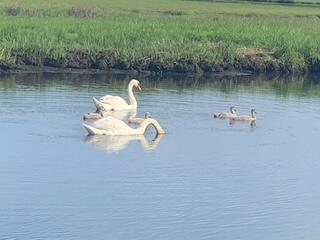 68 Grouse Lane Yarmouth MA 02673