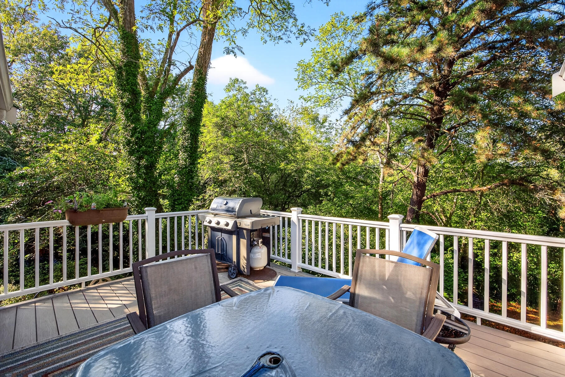 11 Whelpley Road Eastham MA 02642