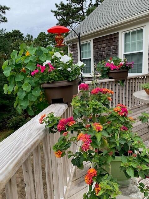 203 Great Western Road Yarmouth MA 02664