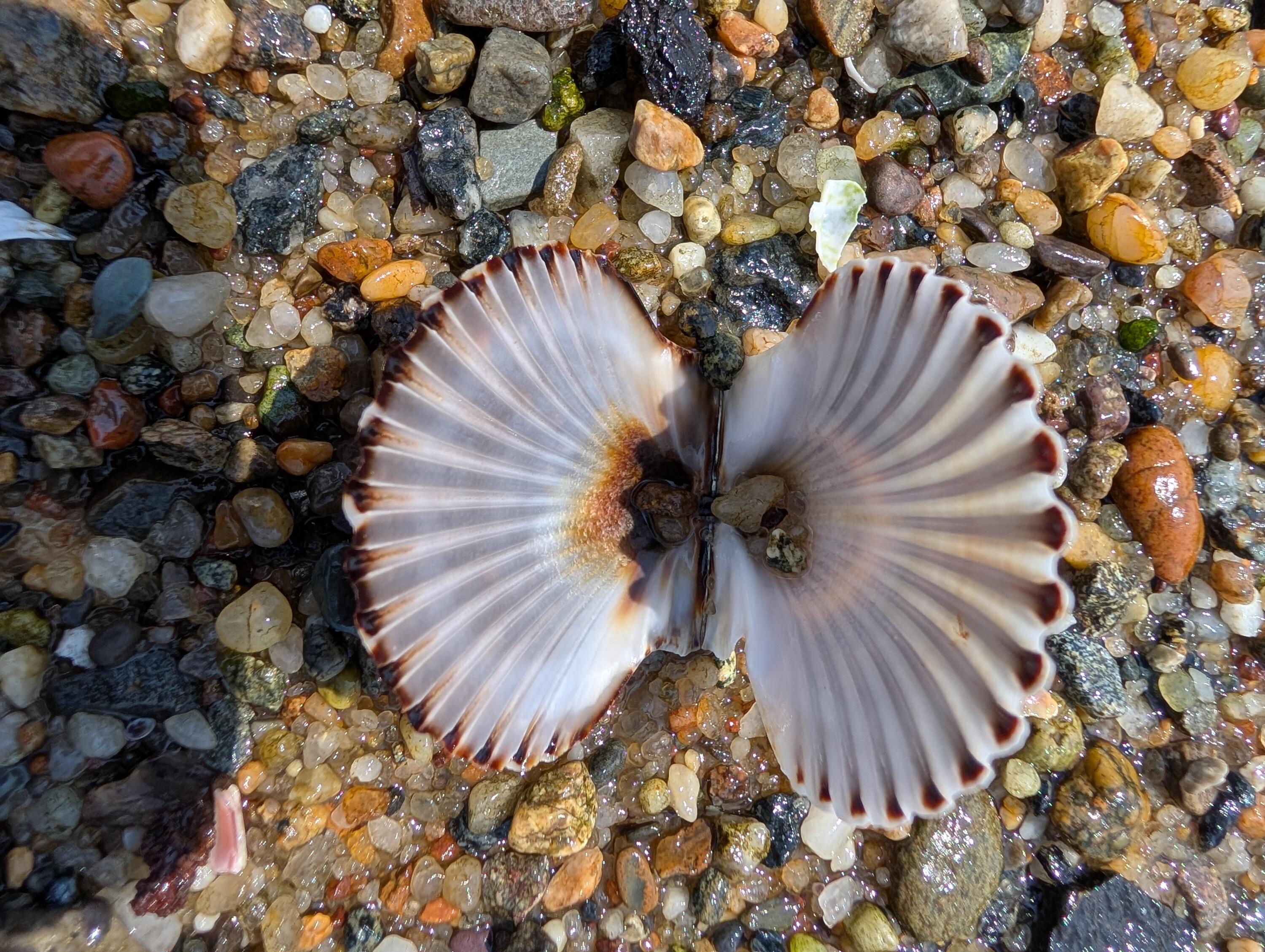 7 Horseshoe Circle Sandwich MA 02563