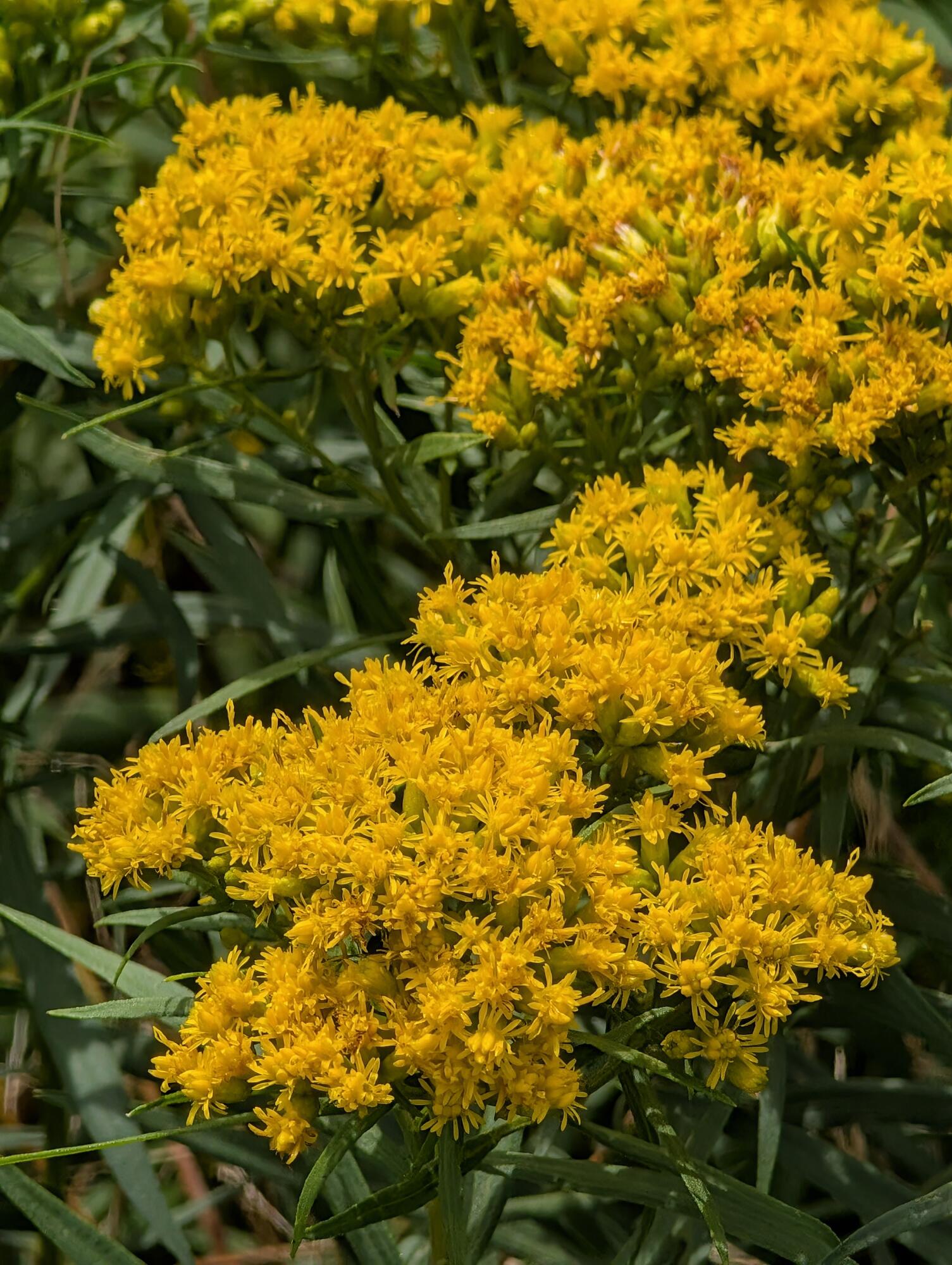 7 Horseshoe Circle Sandwich MA 02563