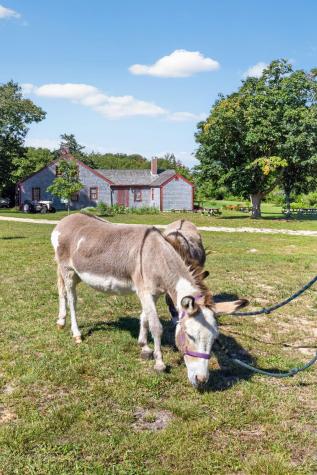 82 Nottingham Drive Yarmouth Port MA 02675