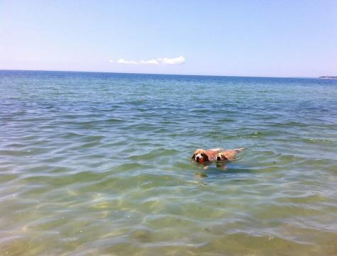 142 Greely Avenue Barnstable MA 02672