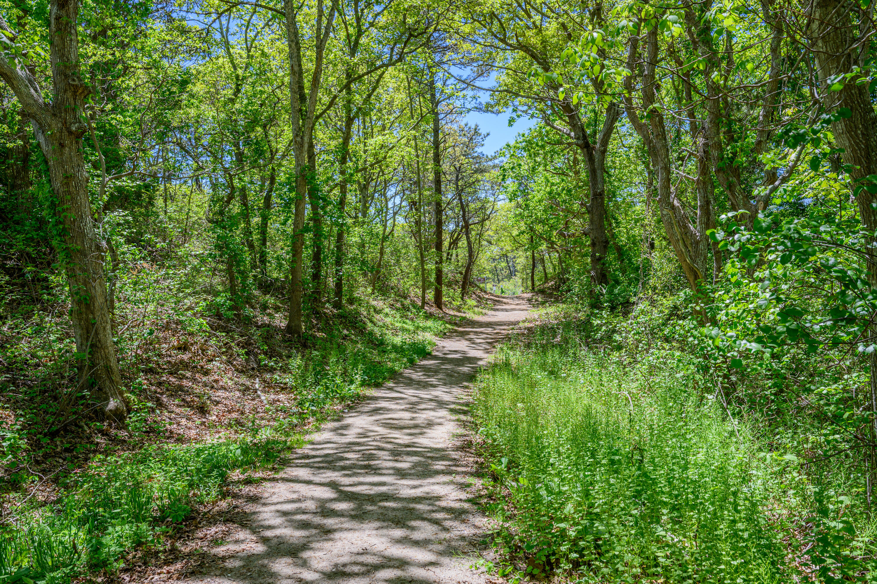 169 Tisquantum Road Chatham MA 02633