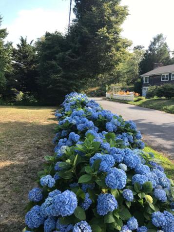 13 Allen Street Harwich MA 02645