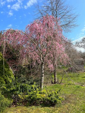 13 Allen Street Harwich MA 02645