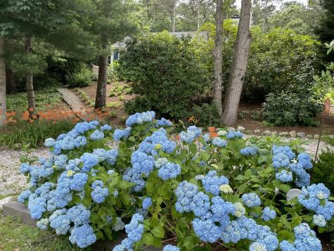 62 Maple Lane Brewster MA 02631