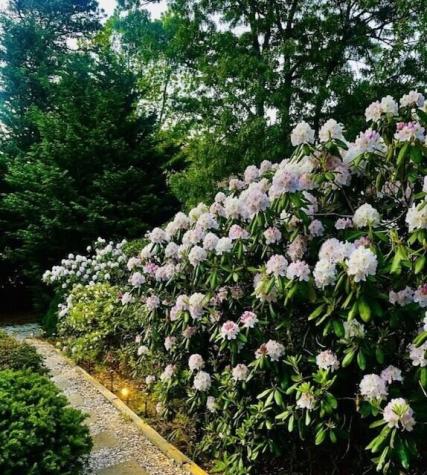 62 Maple Lane Brewster MA 02631