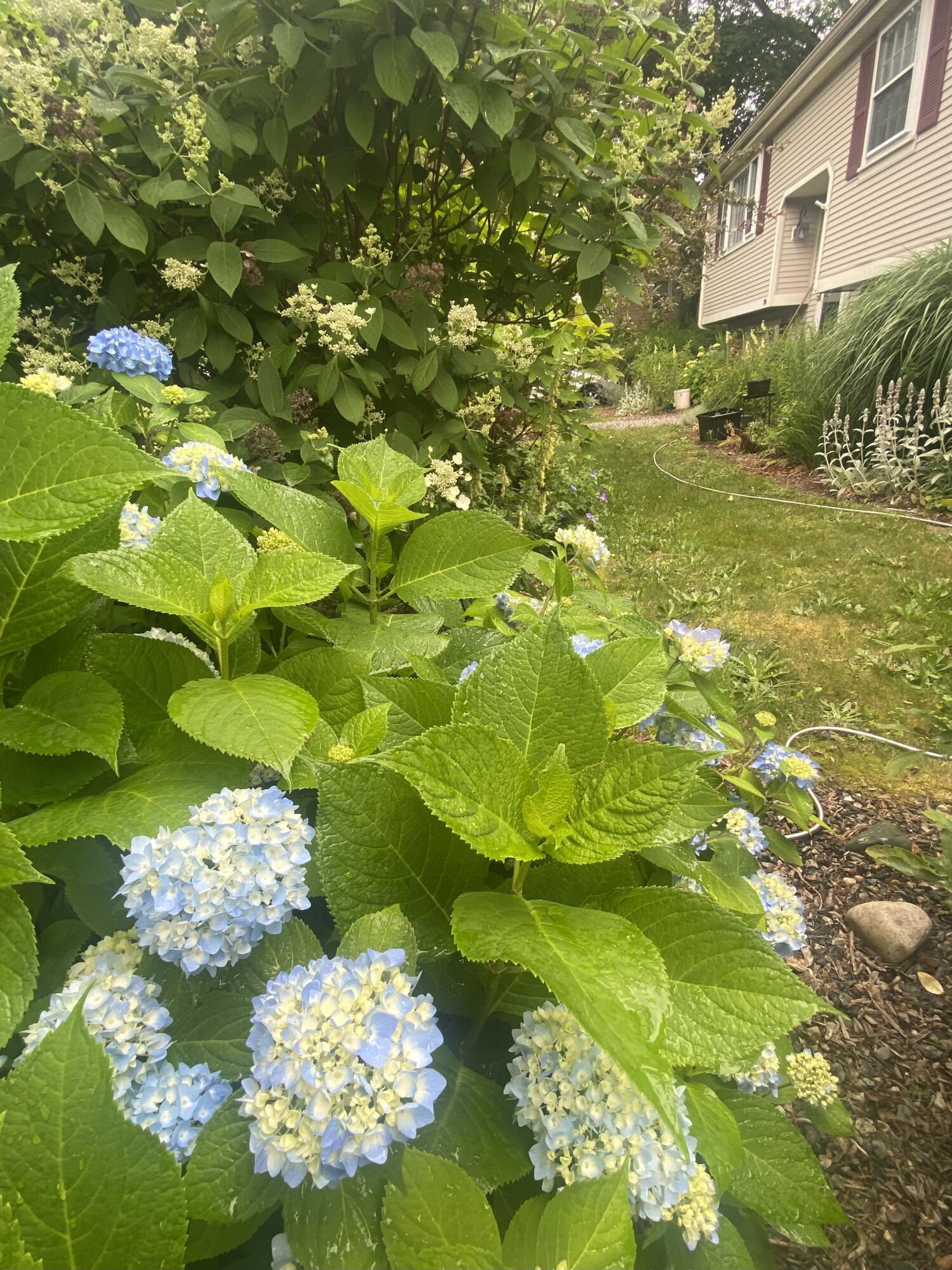 70 Meredith Drive Falmouth MA 02536