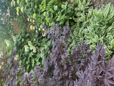 70 Meredith Drive Falmouth MA 02536