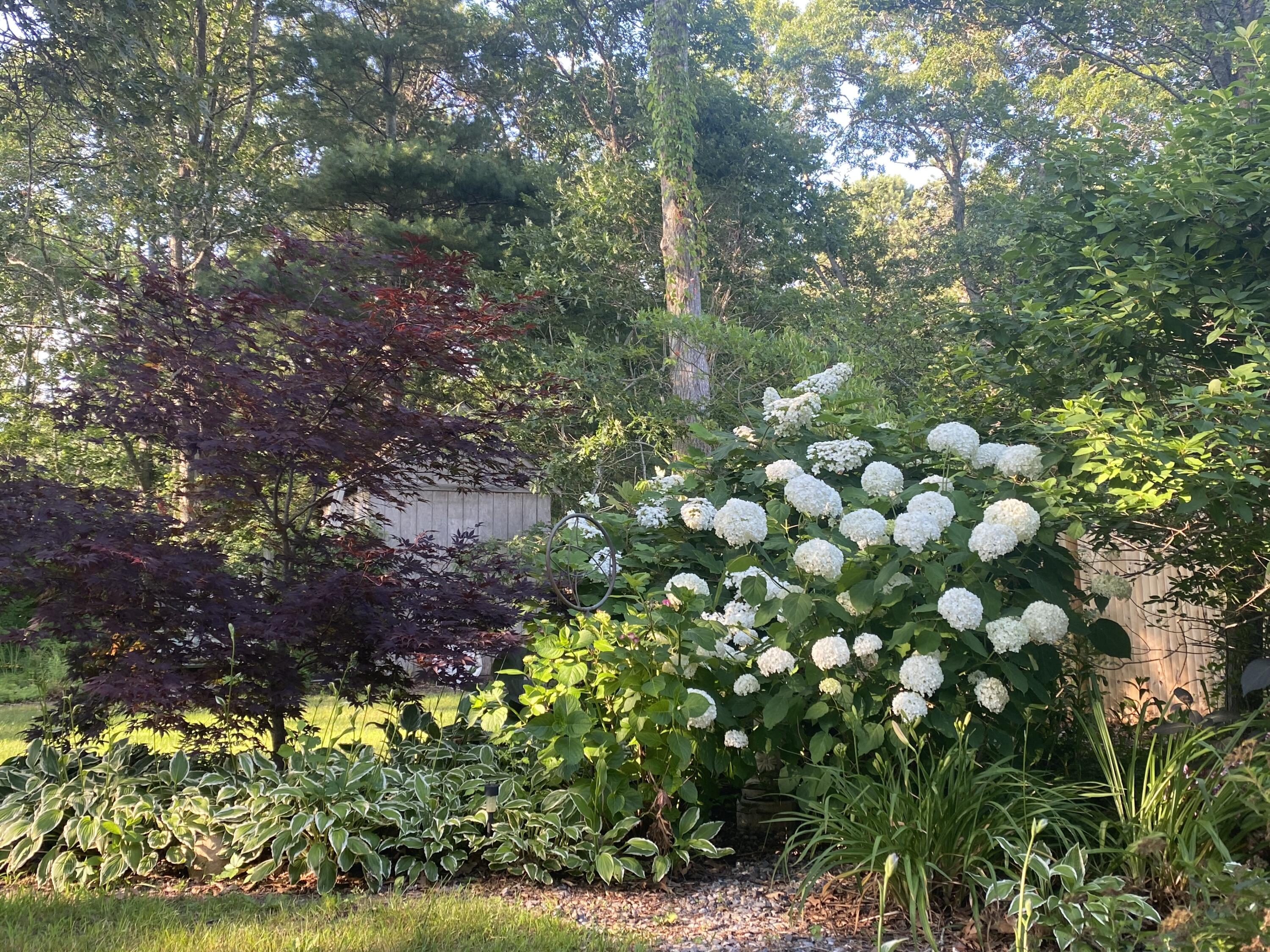 70 Meredith Drive Falmouth MA 02536