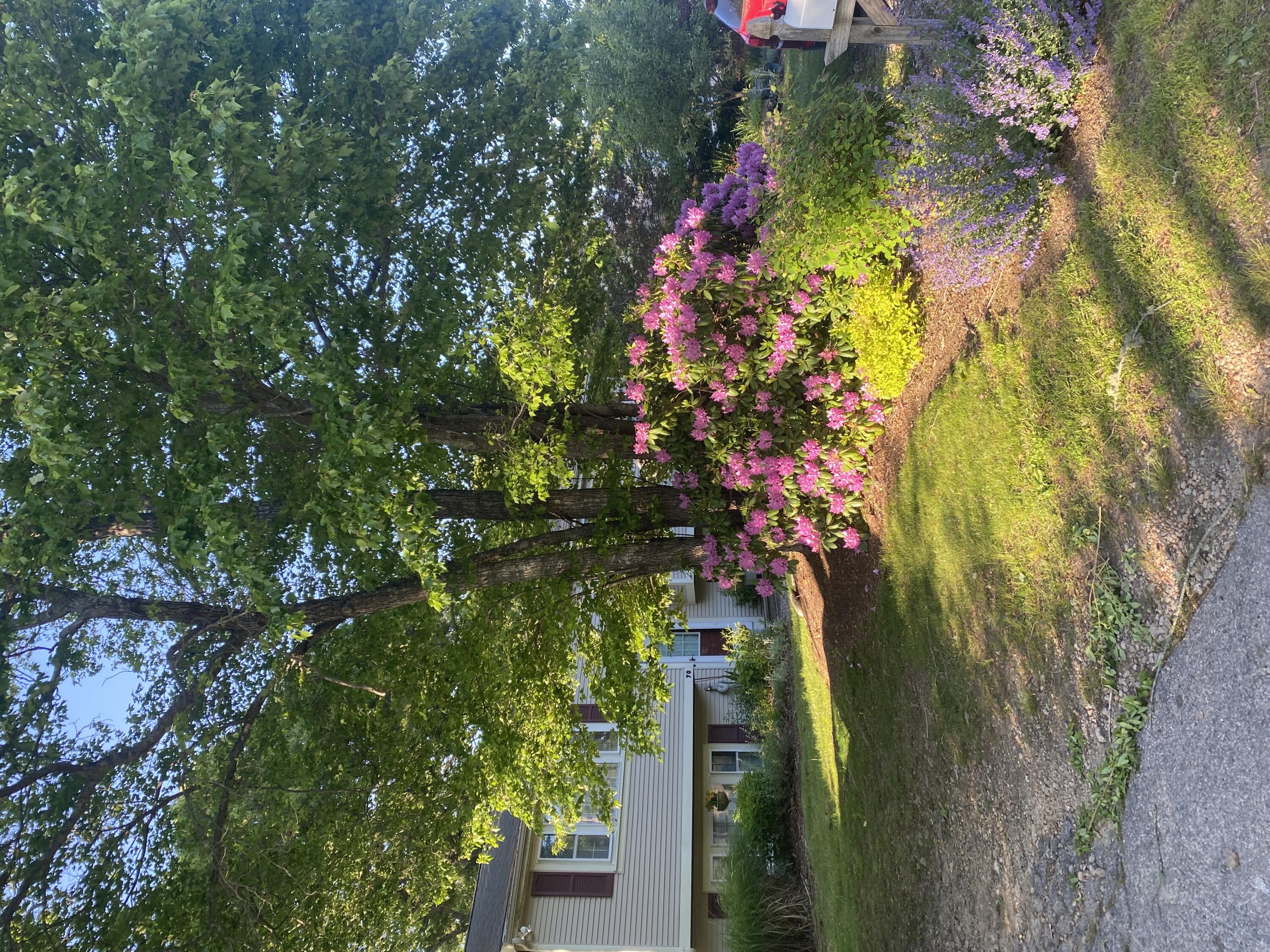 70 Meredith Drive Falmouth MA 02536