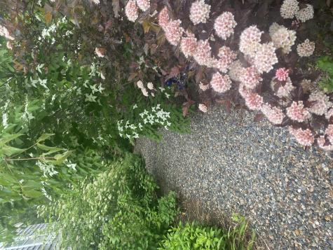 70 Meredith Drive Falmouth MA 02536