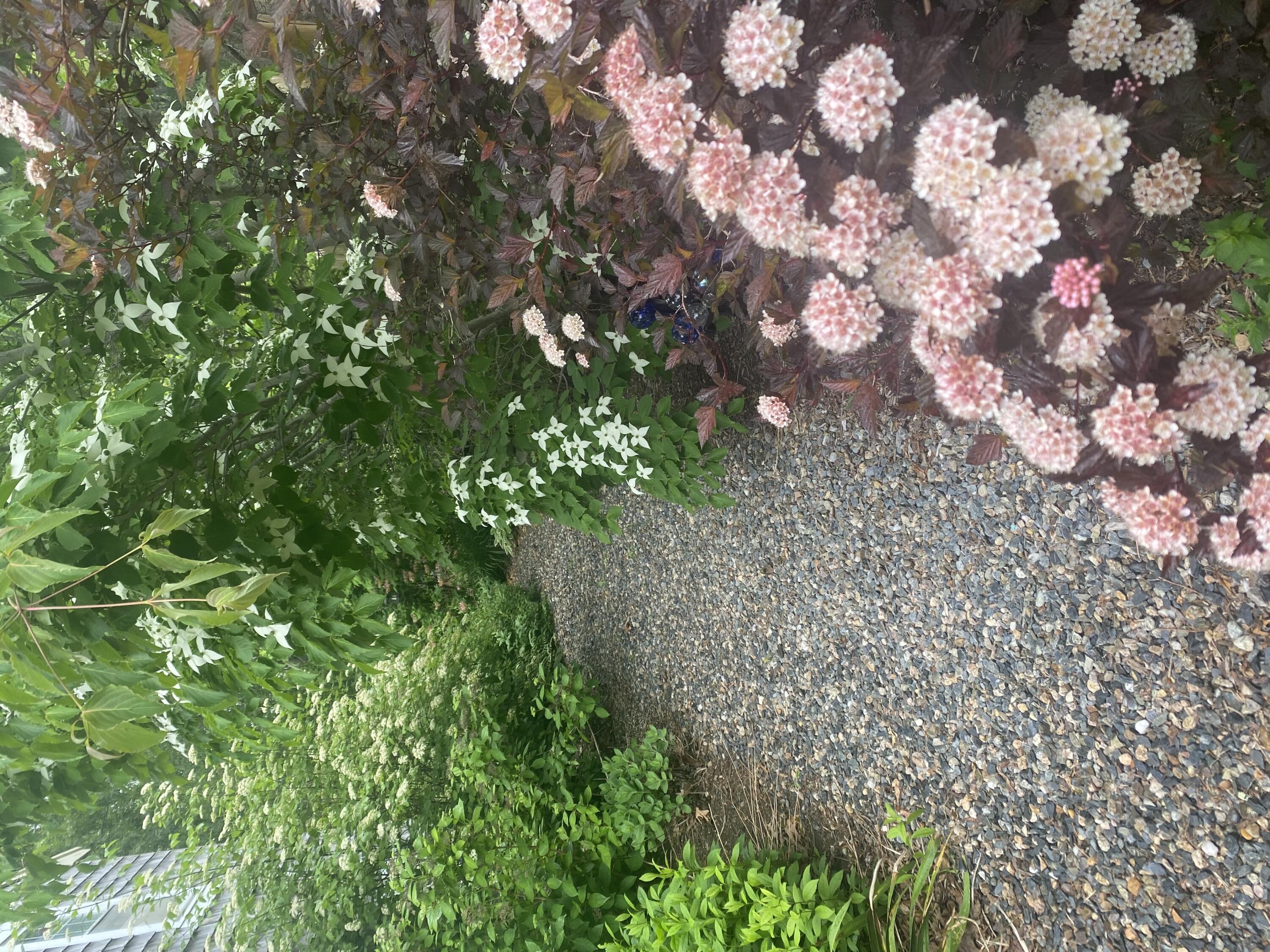 70 Meredith Drive Falmouth MA 02536