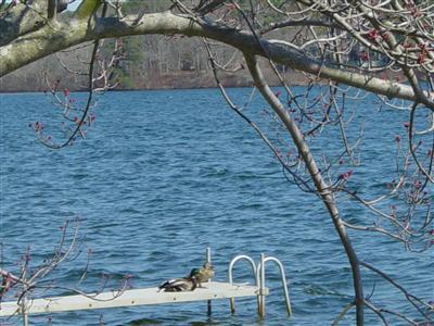 Centerville MA 02632