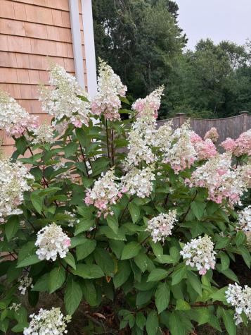 23 Clubhouse Drive Bourne MA 02559