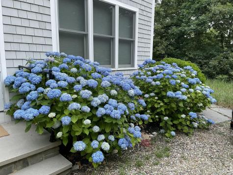 15 Bradford Lane Eastham MA 02642