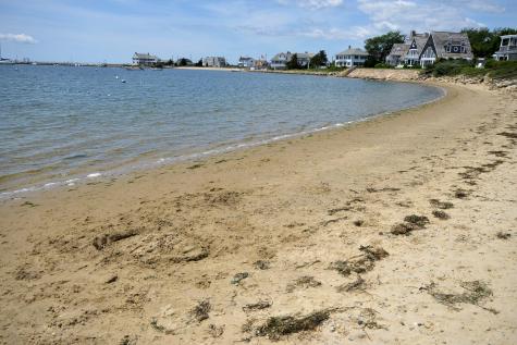 51 Maine Avenue West Yarmouth MA 02673