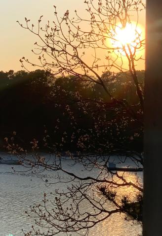 36 Little Neck Lane Mashpee MA 02649