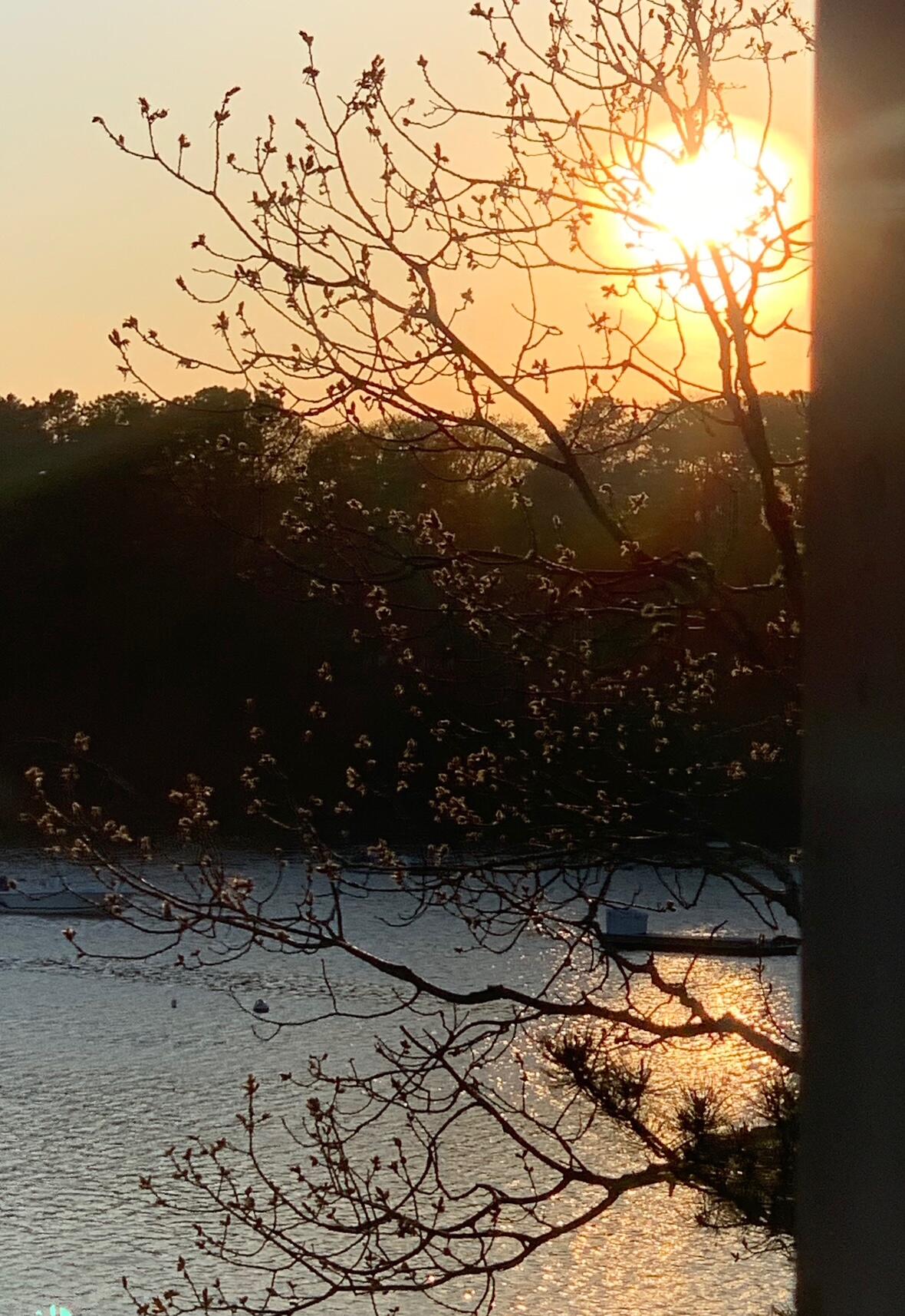 36 Little Neck Lane Mashpee MA 02649