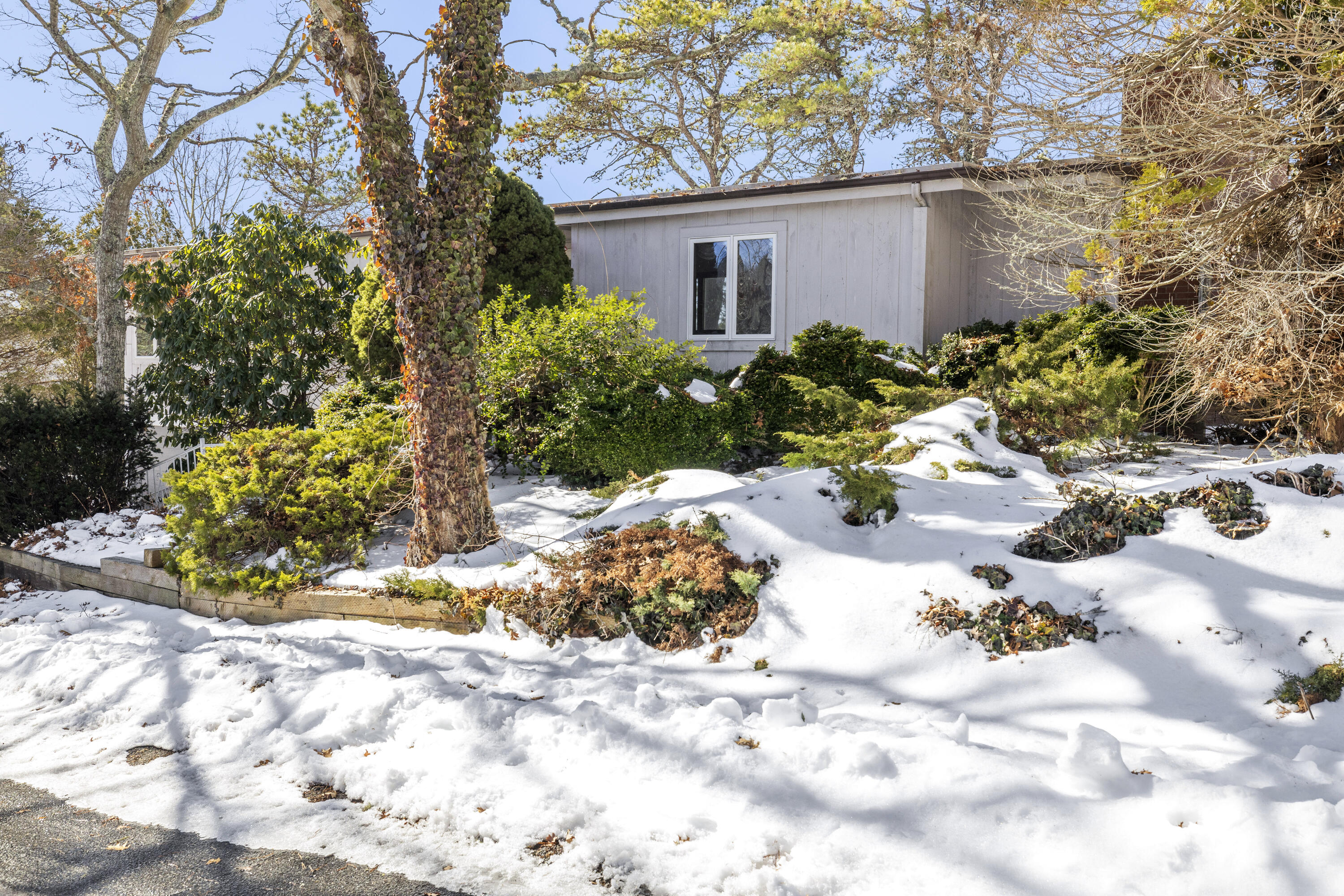 36 Little Neck Lane Mashpee MA 02649