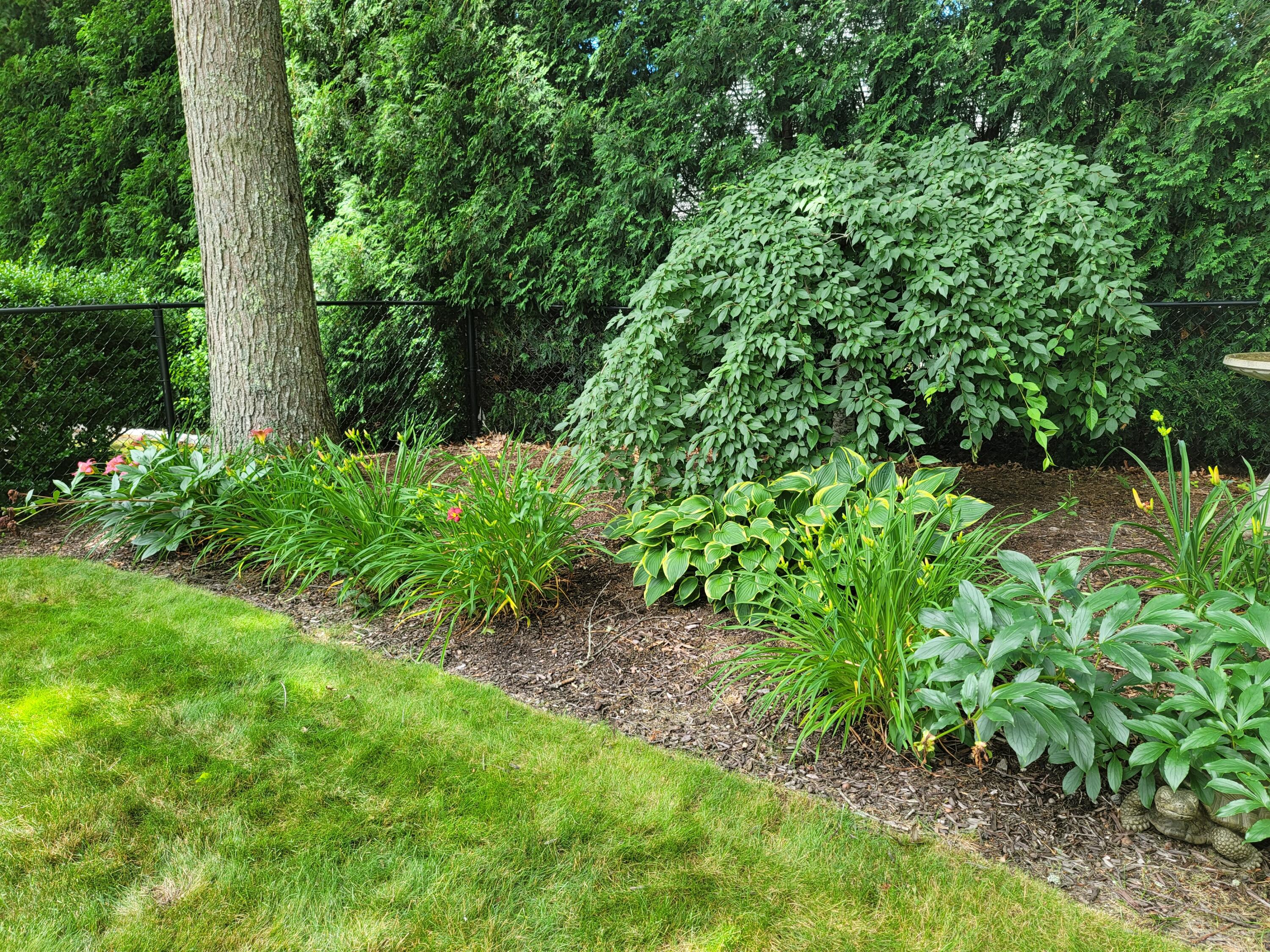 71 Seabrook Drive Falmouth MA 02536