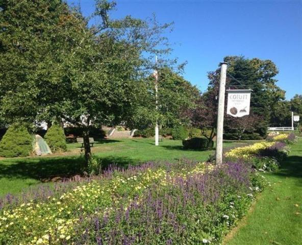 134 School Street Cotuit MA 02635