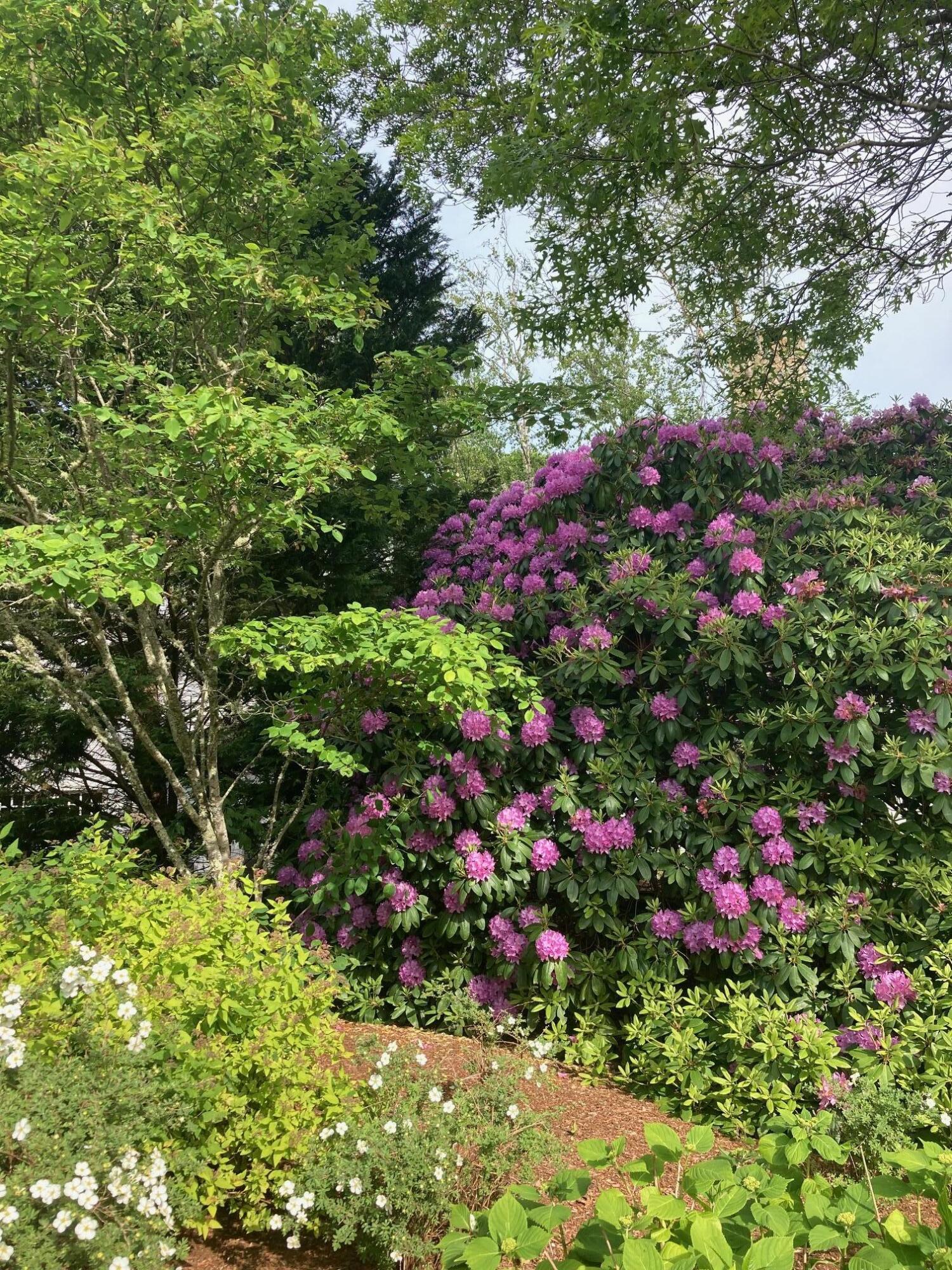 236 Glenneagle Drive Mashpee MA 02649