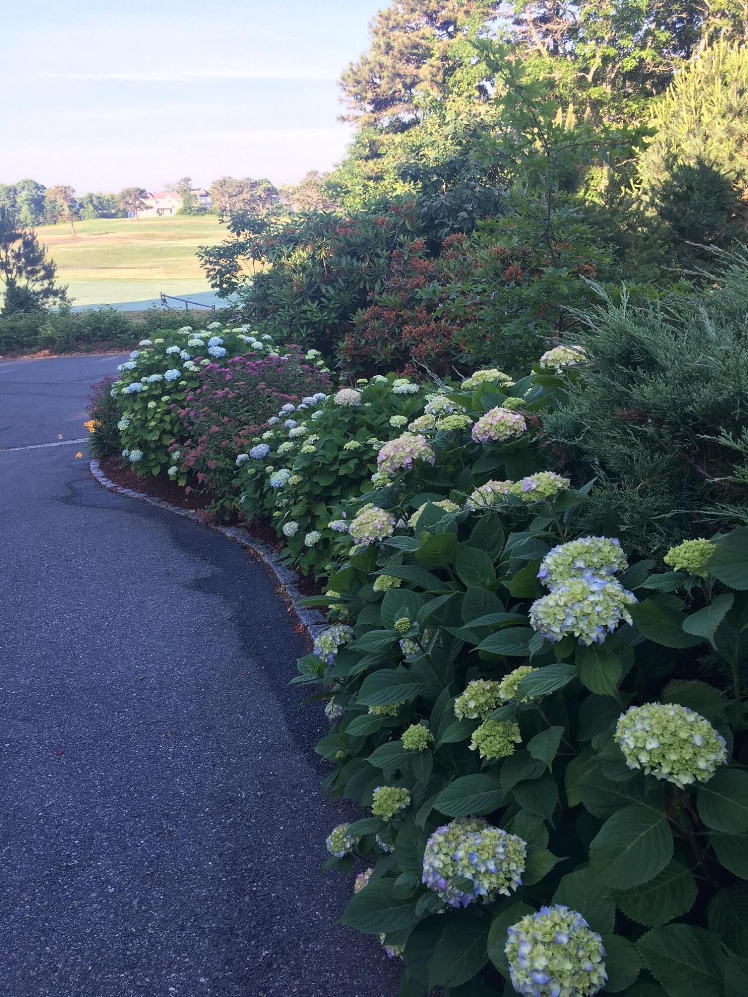 236 Glenneagle Drive Mashpee MA 02649