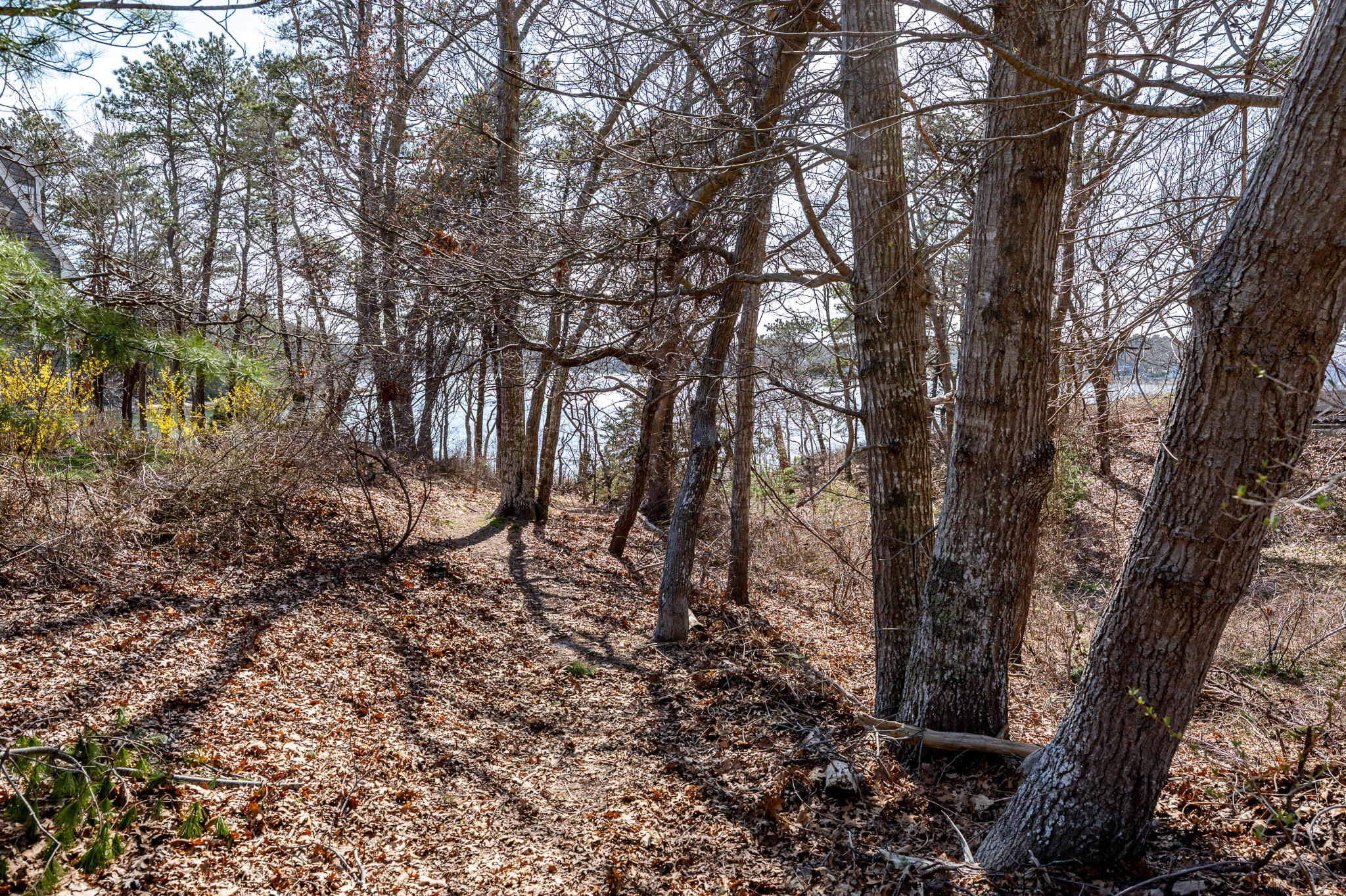 67 Crawford Road Cotuit MA 02635