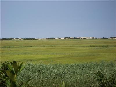 West Barnstable MA 02668