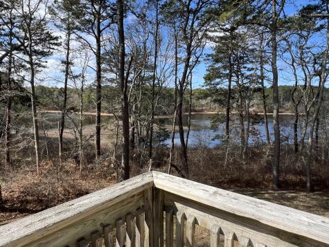 71 Grassy Pond Drive Dennis MA 02641