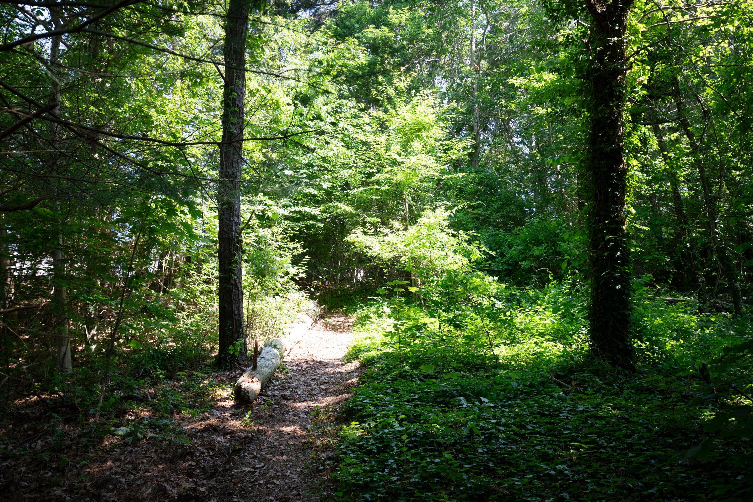 25 Wood Valley Road Chatham MA 02633