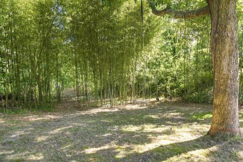 365 Chequessett Neck Road Wellfleet MA 02667