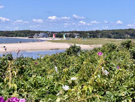 39 Jedidiah Way Chatham MA 02633