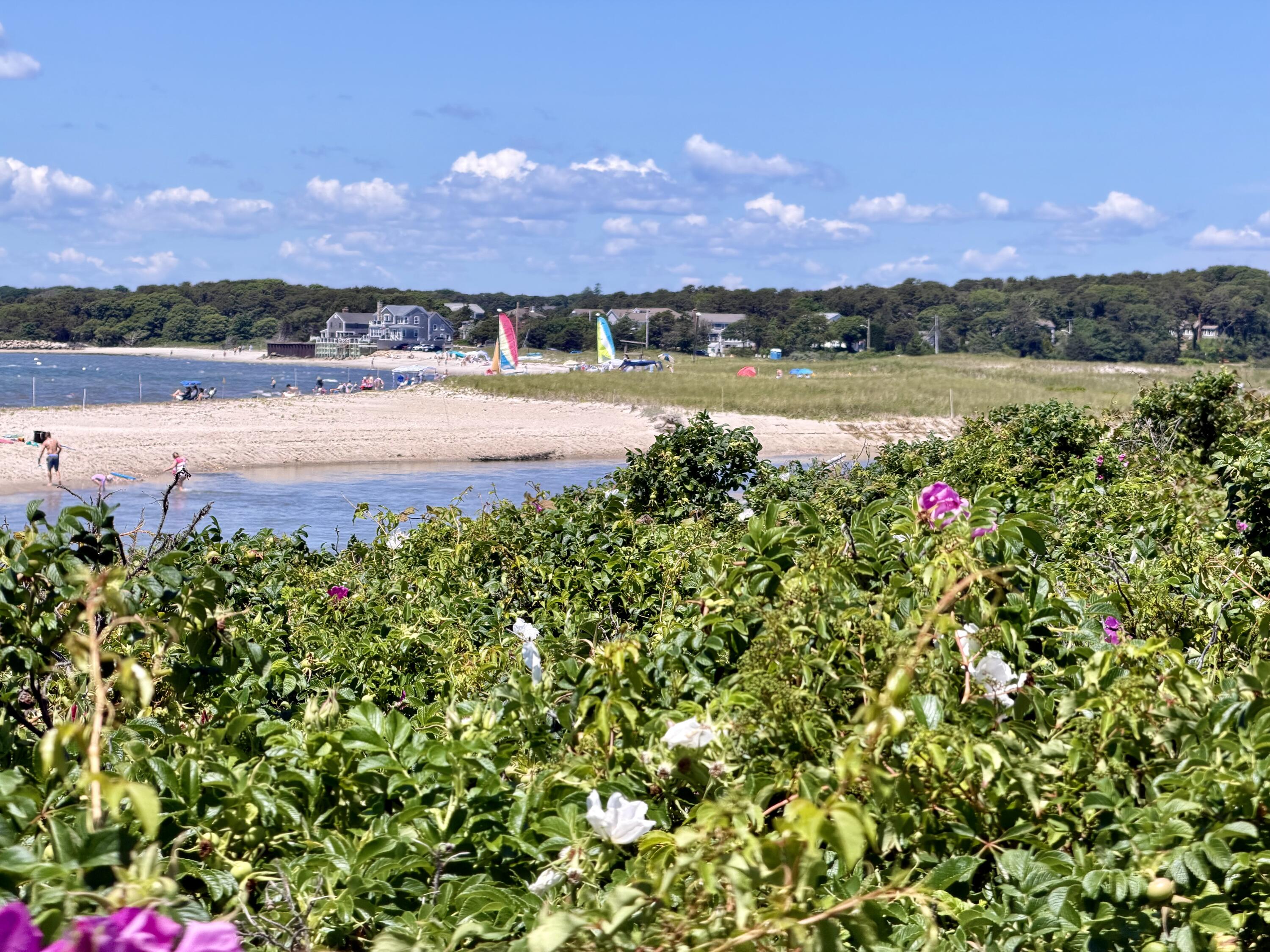 39 Jedidiah Way Chatham MA 02633