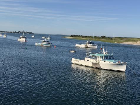 39 Jedidiah Way Chatham MA 02633