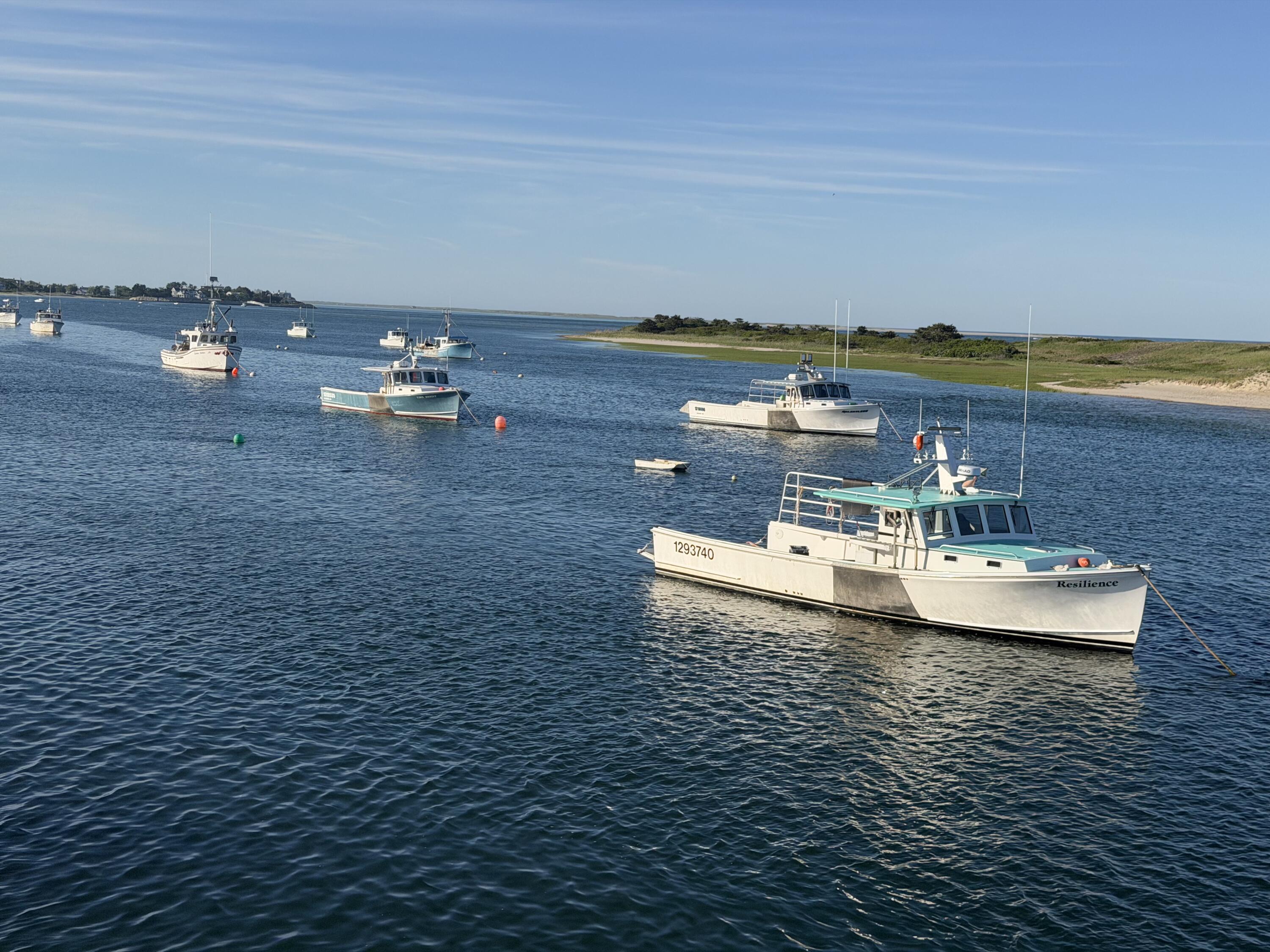 39 Jedidiah Way Chatham MA 02633