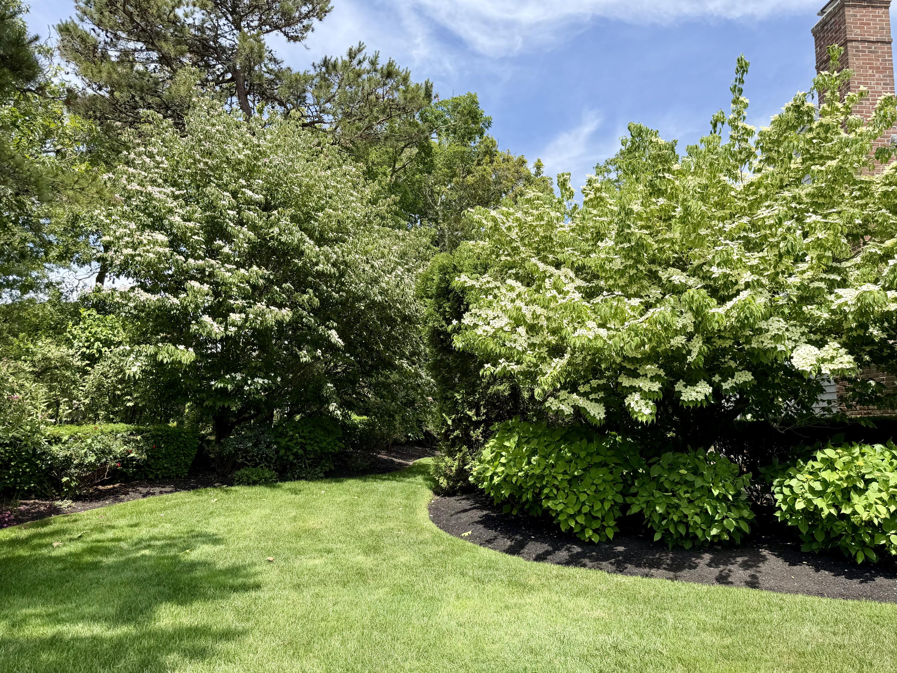 39 Jedidiah Way Chatham MA 02633