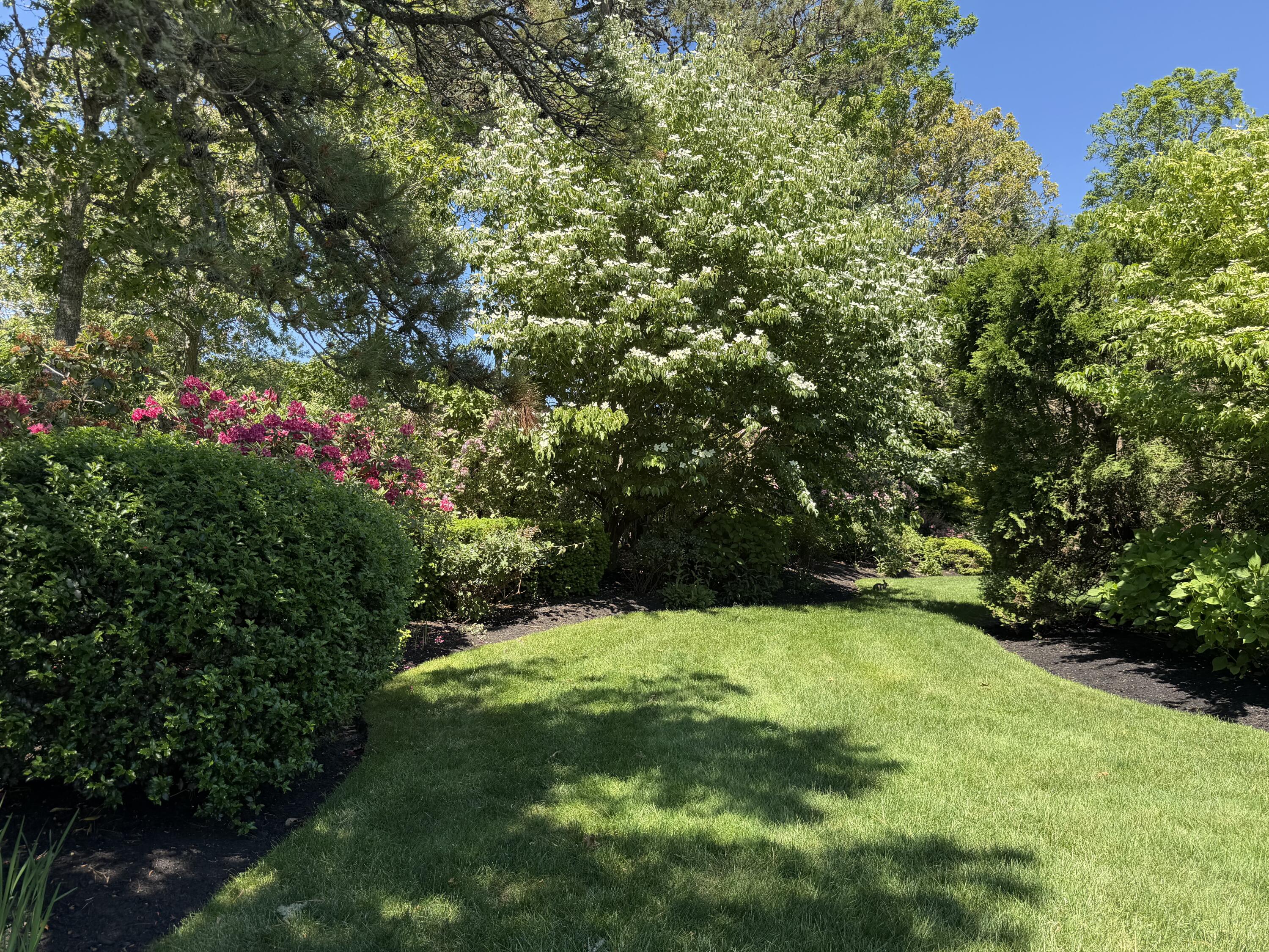 39 Jedidiah Way Chatham MA 02633