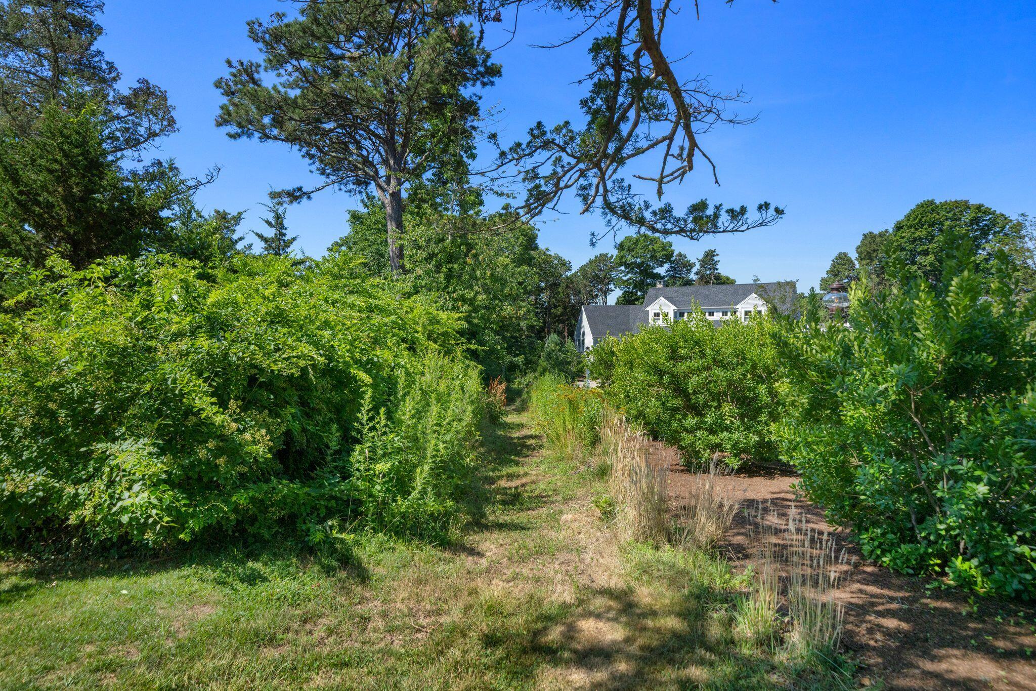 15 Hayward Lane Orleans MA 02653