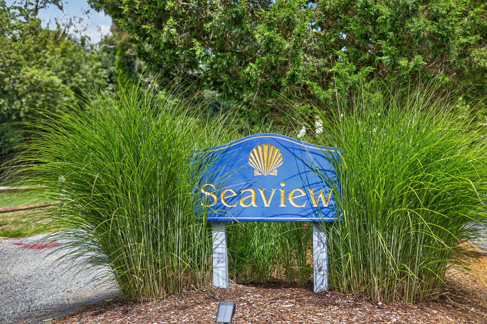 80 Upland Circle Brewster MA 02631