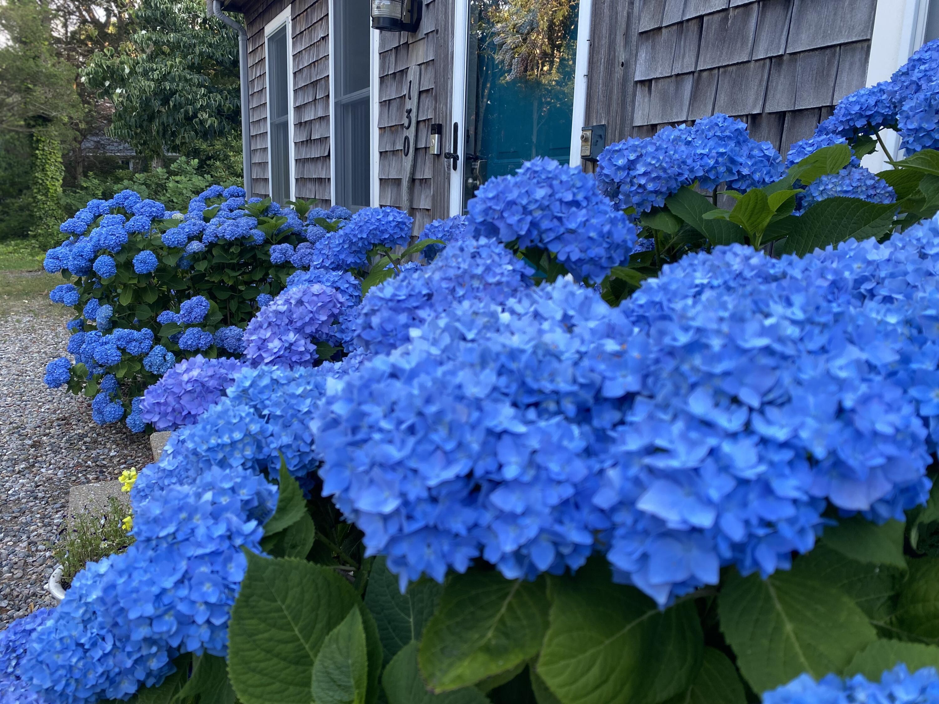 130 Helm Road Eastham MA 02642